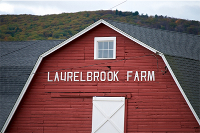 Laurelbrook-Farm-top.png